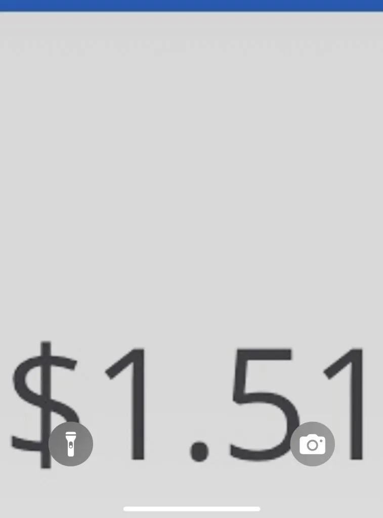 payment-screenshot