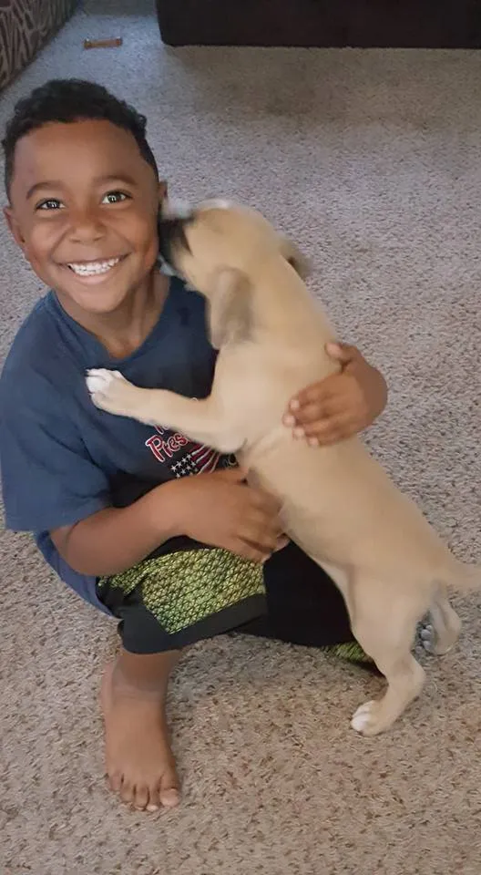 elijah-and-dog