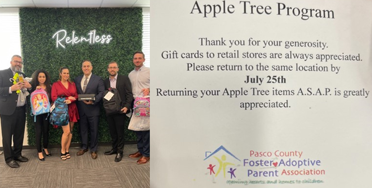 apple-tree-program apple-tree-program
